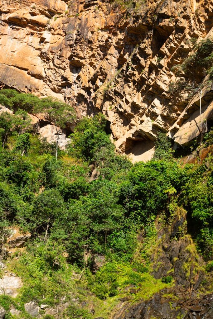 pexels-photo-32745163 Breathtaking view of red rock formations adorned with vibrant greenery in Tocantins, Brazil.